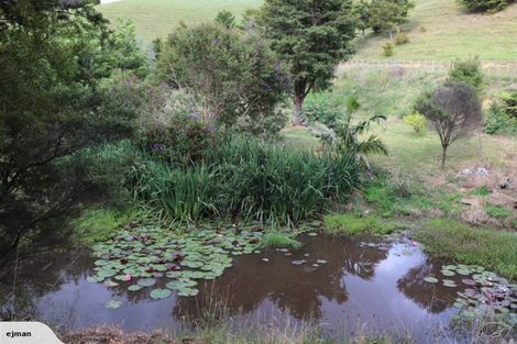 Photo of property in 356 Hailes Road, Whananaki, Hikurangi, 0181