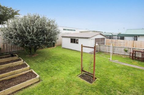 Photo of property in 24 Jasmine Avenue, Dinsdale, Hamilton, 3204