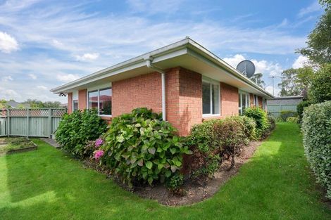 Photo of property in 242 Ness Street, Appleby, Invercargill, 9812