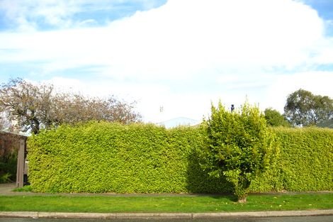 Photo of property in 45 Beatrice Street, Avenal, Invercargill, 9810