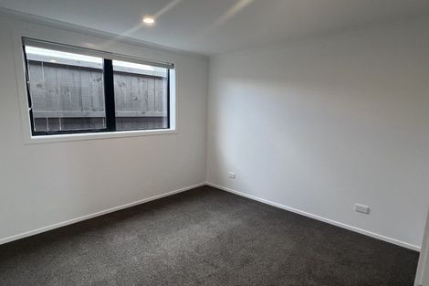 Photo of property in 44 Briannarose Drive, Fitzroy, Hamilton, 3206