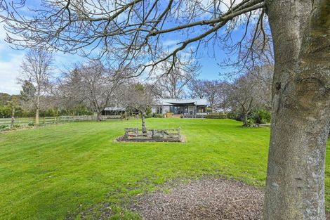 Photo of property in 543 Raukawa Road, Raukawa, 4174