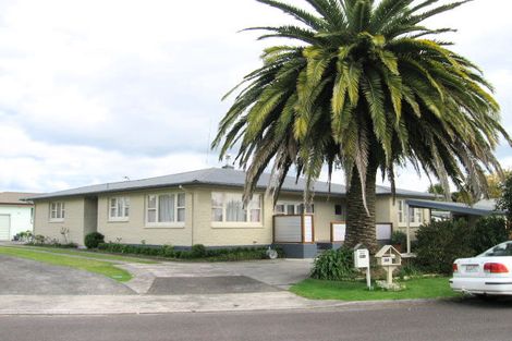 Photo of property in 20 Vine Avenue, Maungatapu, Tauranga, 3112