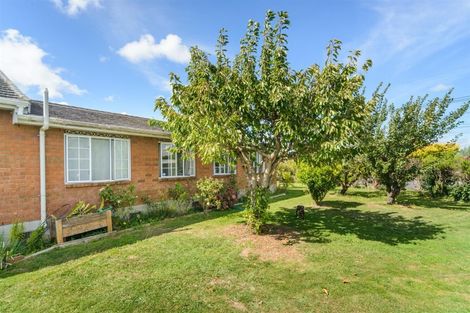 Photo of property in 128 High Street, Bulls, 4818