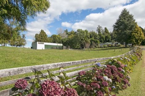 Photo of property in 472 Whakamarama Road, Whakamarama, Tauranga, 3179