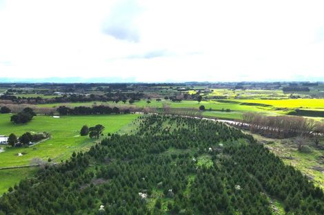 Photo of property in 351 Weber Road, Dannevirke, 4971