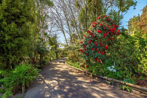 Photo of property in 69 Butler Road, Poroporo, Whakatane, 3192