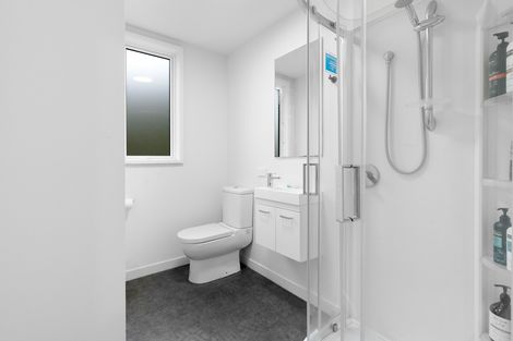 Photo of property in 3 Bishops Road, Dunedin Central, Dunedin, 9016