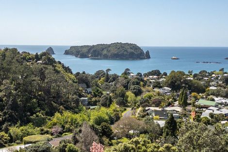 Photo of property in 8 Patricia Place, Hahei, Whitianga, 3591