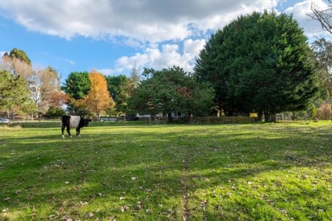 Photo of property in 1140 Whirinaki Valley Road, Ngakuru, Rotorua, 3077