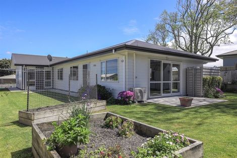 Photo of property in 14 Harlock Place, Huntly, 3700