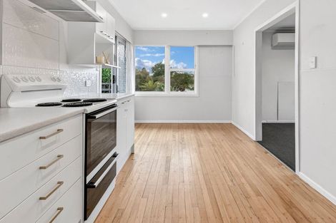 Photo of property in 163 Arapuni Street, Putaruru, 3411