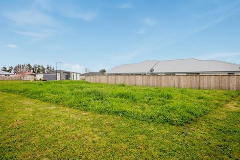 Photo of property in 5 Saint Thomas Avenue, Pyes Pa, Tauranga, 3112
