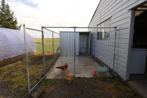 Photo of property in 539 Kellow Road, Glen Oroua, Palmerston North, 4473