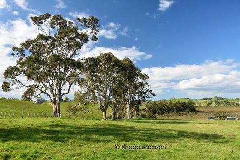 Photo of property in 41 Minnie Casey Rise, Matakohe, 0593