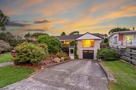 Photo of property in 167 West Street, Hawthorndale, Invercargill, 9810