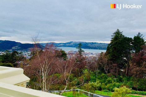 Photo of property in 65 Sligo Terrace, Roslyn, Dunedin, 9010