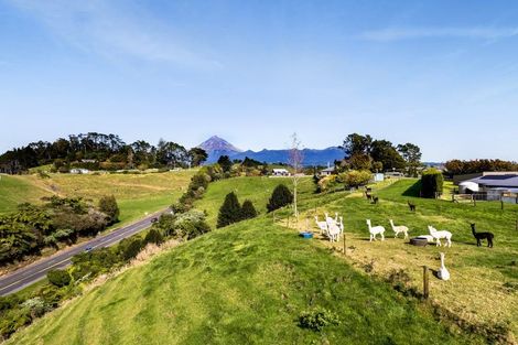 Photo of property in 10 Allan Road, Burgess Park, New Plymouth, 4371