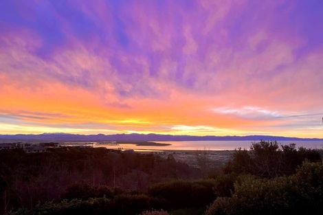 Photo of property in 165 Panorama Drive, Enner Glynn, Nelson, 7011