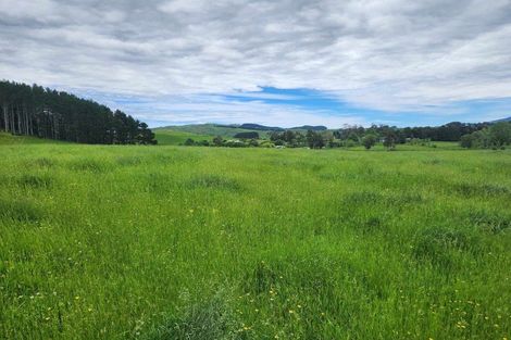 Photo of property in 201 Pond Road, Raglan, 3295