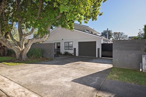Photo of property in 24 Selwyn Street, Tauranga, 3110