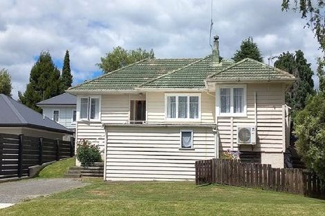 Photo of property in 20b Terrace Street, Putaruru, 3411