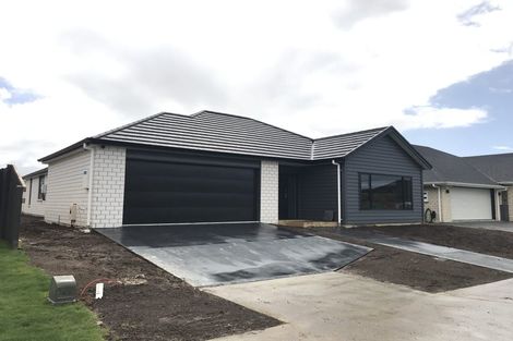 Photo of property in 25 Ruru Street, Cambridge, 3434