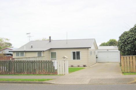 Photo of property in 155 Tiro Tiro Road, Levin, 5510