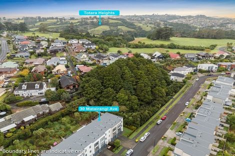 Photo of property in 30 Matairangi Avenue, Totara Heights, Auckland, 2105