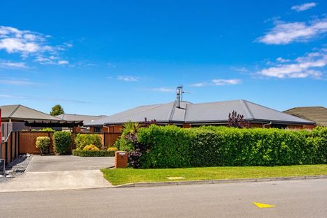 Photo of property in 5 De Castro Drive, Blenheim, 7201