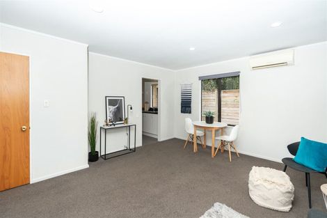 Photo of property in 208a Nixon Street, Hamilton East, Hamilton, 3216