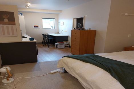Photo of property in Urbane Apartments, 25/29 Webb Street, Mount Cook, Wellington, 6011