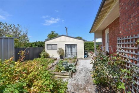 Photo of property in 19 Carlyle Road, Mosgiel, 9024