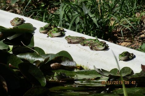 Photo of property in 608 Apley Road, Puketapu, Napier, 4184