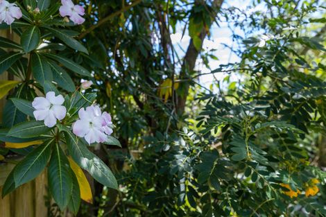 Photo of property in 17 Adam Sunde Place, Glen Eden, Auckland, 0602