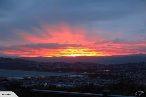 Photo of property in 17 Hornsey Road, Melrose, Wellington, 6023