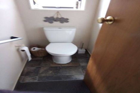 Photo of property in 29 Chelsea Avenue, Richmond, 7020