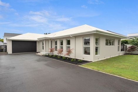 Photo of property in 19 Strowan Avenue, Fairfield, Hamilton, 3214