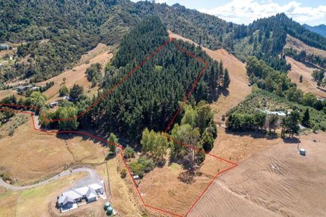 Photo of property in 61 Bliss Private Way, Thames, 3577