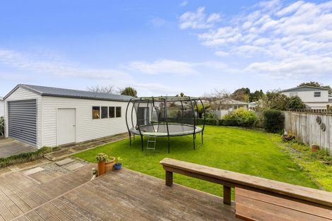 Photo of property in 16 Dudley Street, Levin, 5510