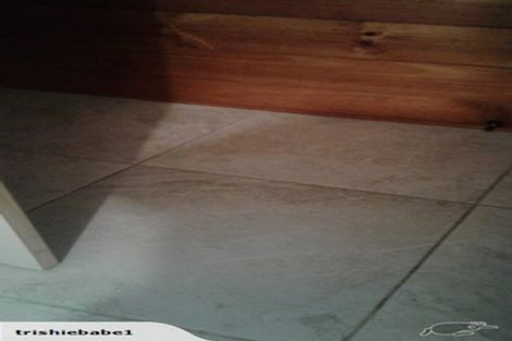 Photo of property in 431 Omanaia Road, Oue, Kaikohe, 0473