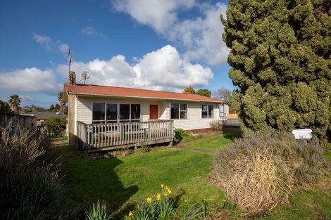 Photo of property in 17 France Street, Waiuku, 2123