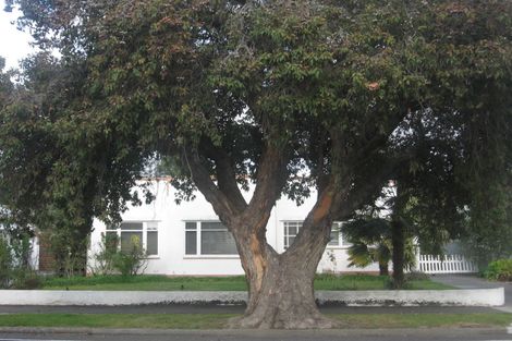 Photo of property in 46 Tom Parker Avenue, Marewa, Napier, 4110