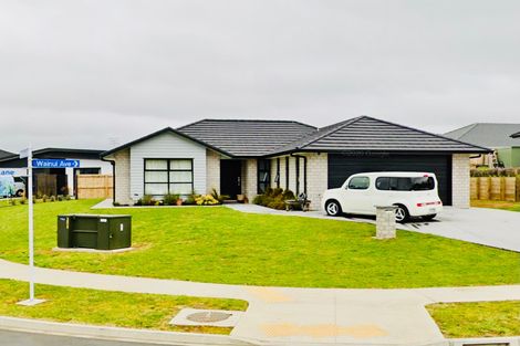 Photo of property in 36 Wainui Avenue, Te Kamo, Whangarei, 0112
