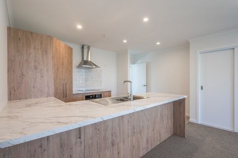 Photo of property in 15b Lowry Street, Richmond, 7020