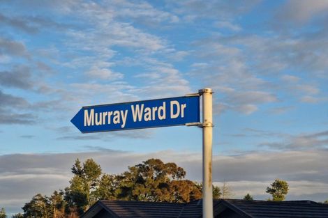 Photo of property in 63 Murray Ward Drive, Te Kauwhata, 3710