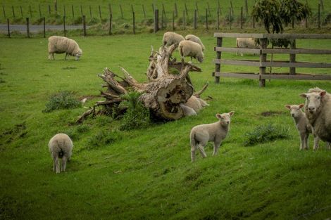 Photo of property in 131 Trig Road, Waihi, 3681