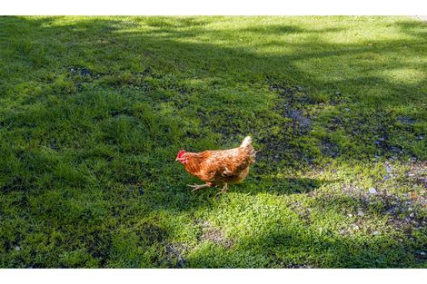 Photo of property in 21 Lachlan Place, Favona, Auckland, 2024