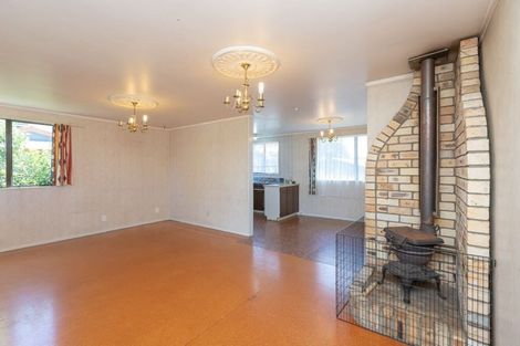 Photo of property in 45 Alison Street, Hamilton Lake, Hamilton, 3204