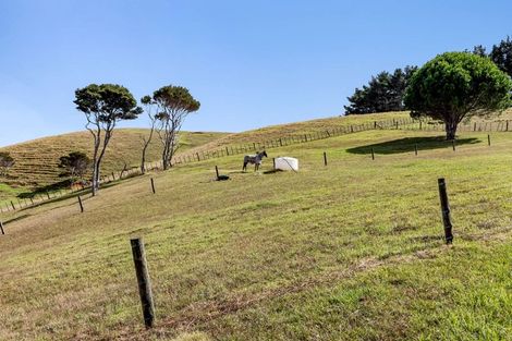 Photo of property in 330 Hihi Road, Hihi, Mangonui, 0494